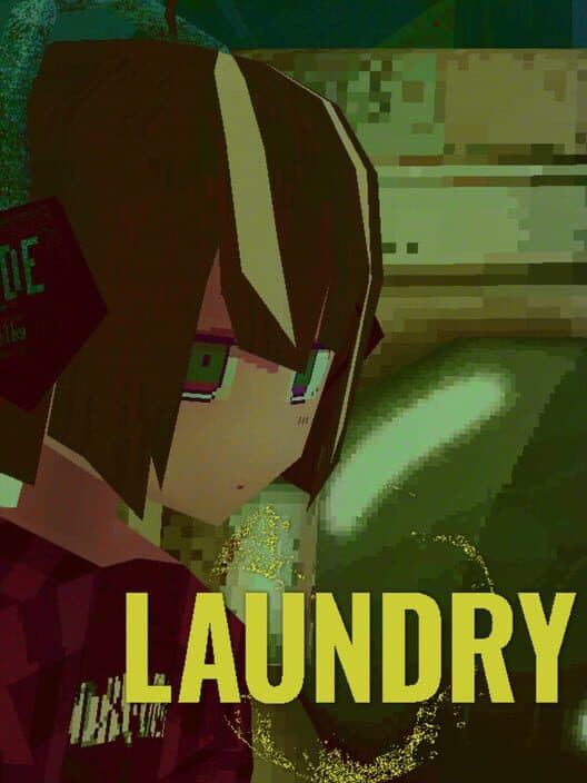 Laundry cover
