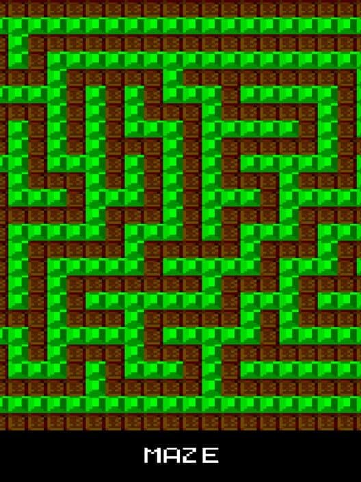 Maze cover