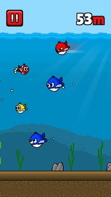 Mini Fish cover