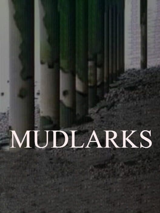 Mudlarks cover