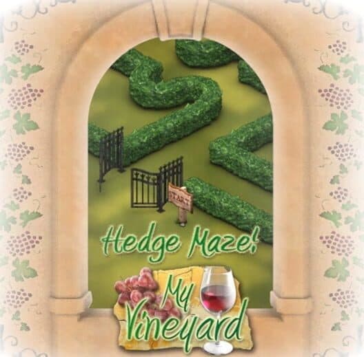 My Vineyard cover
