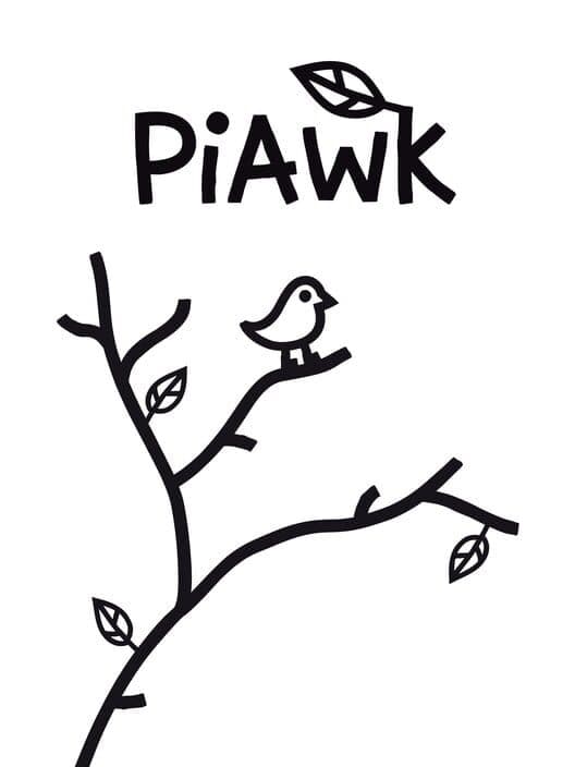 PiAwk cover