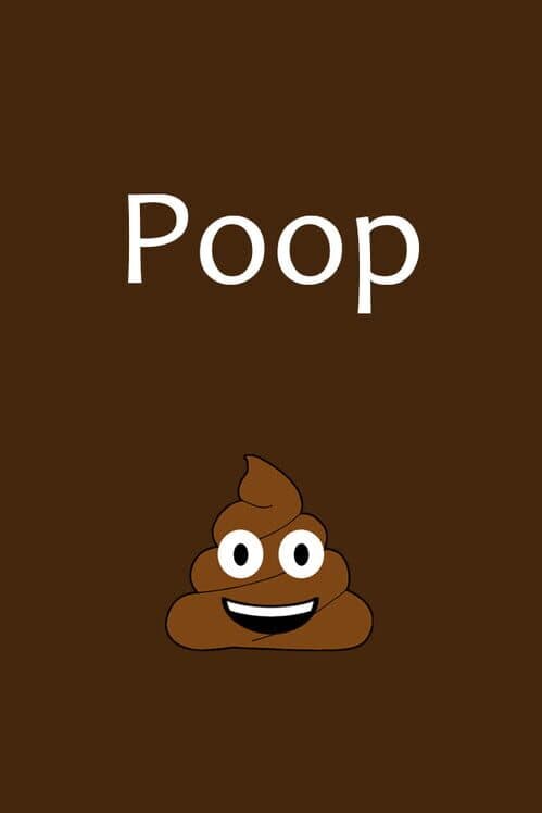 Poop cover