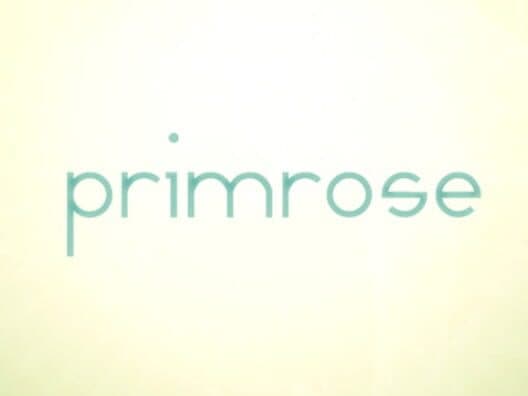 Primrose cover