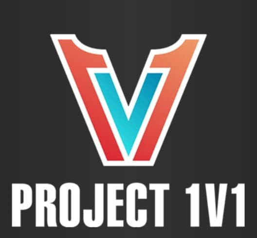 Project 1v1 cover