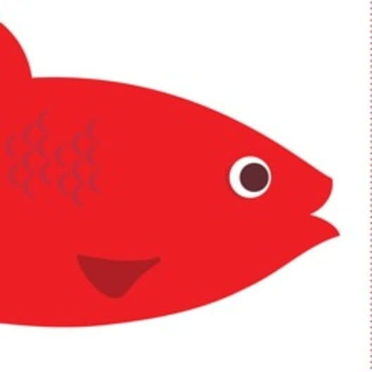Red Herring cover
