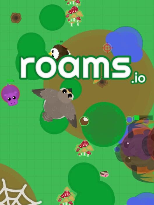 Roams.io cover