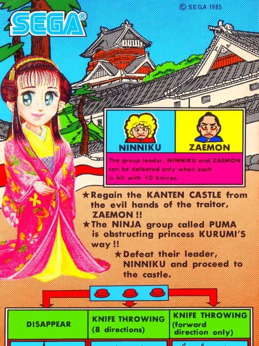 Sega Ninja cover