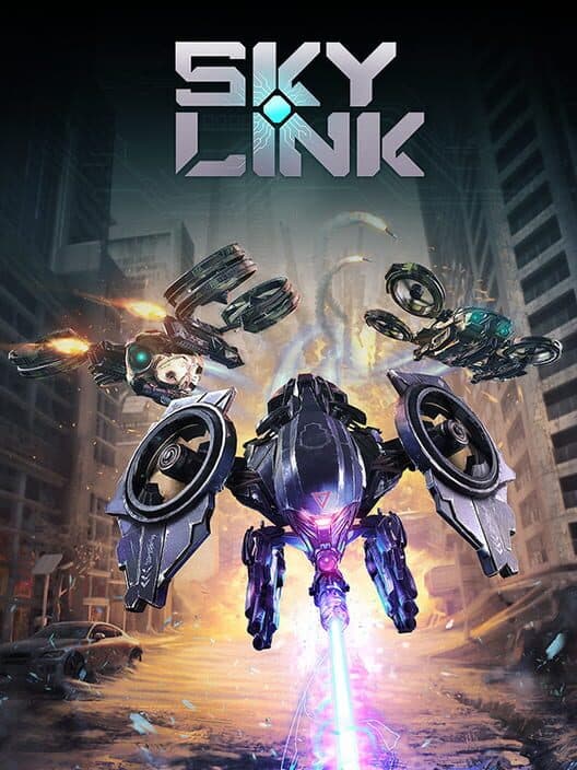 Sky Link cover