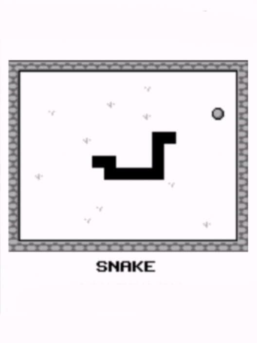 Snake cover