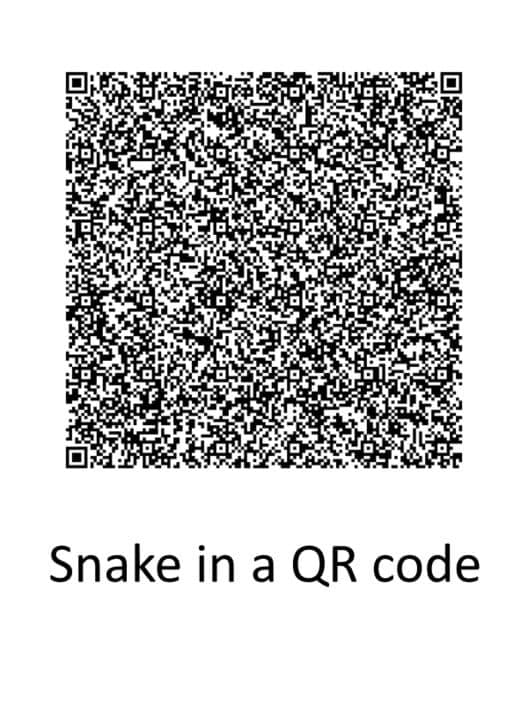 SnakeQR cover