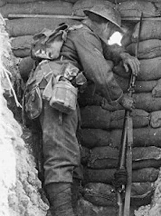 Somme Trench cover