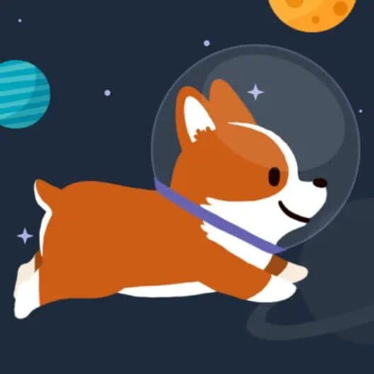 Space Corgi cover