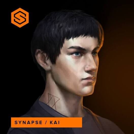 Synapse cover