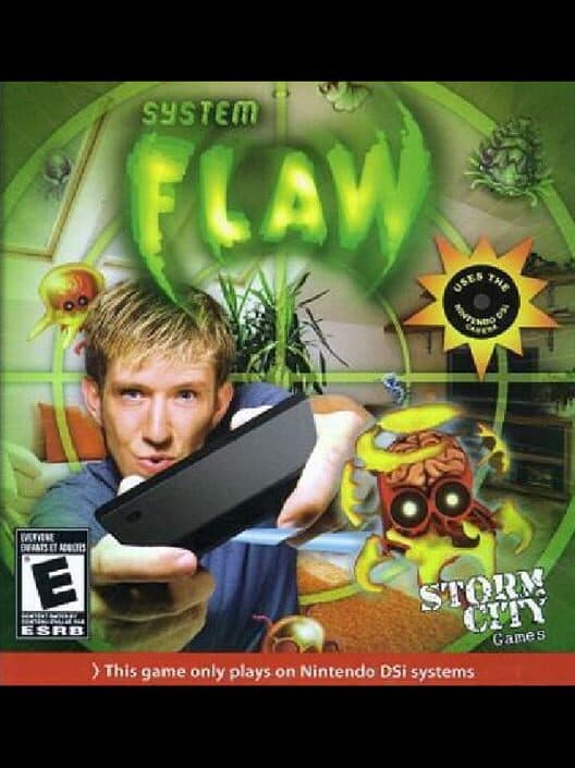 System Flaw cover