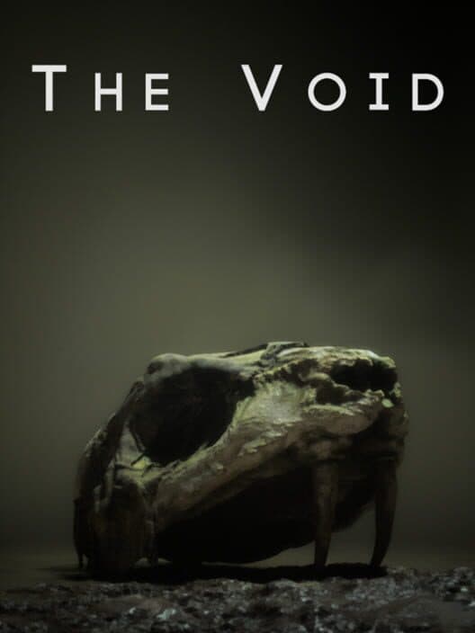 The Void cover