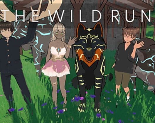 The Wild Run cover