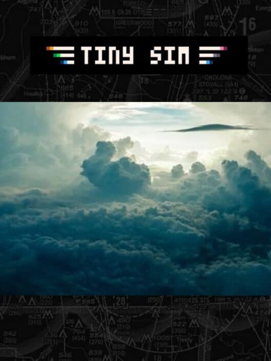 Tiny Sim cover