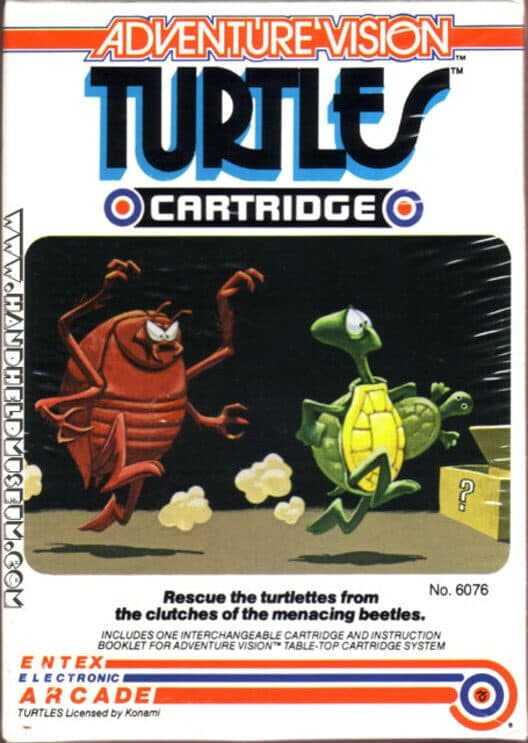 Turtles cover