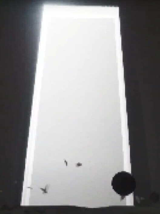 Ustje cover