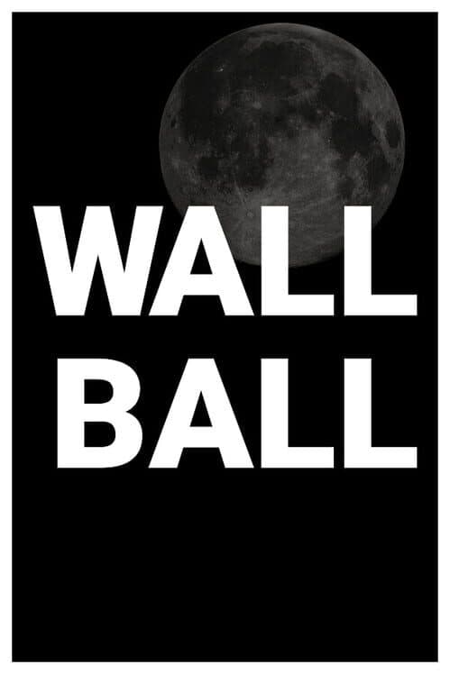 Wall Ball cover