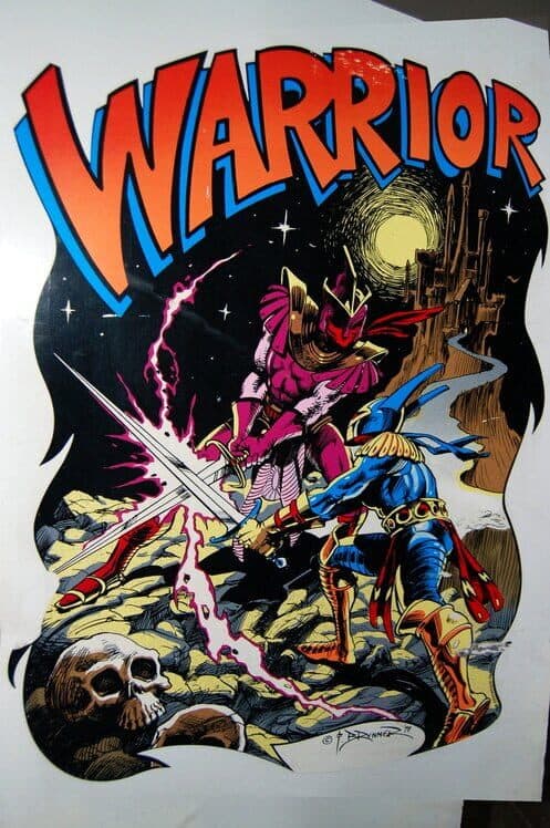 Warrior cover
