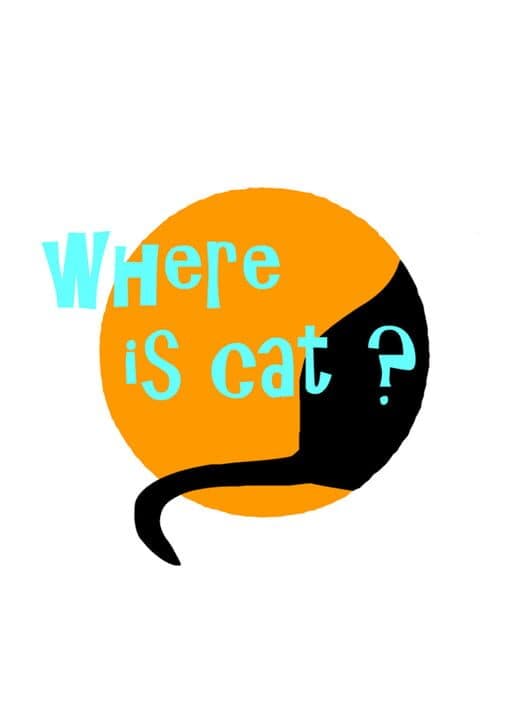 Where is cat? cover