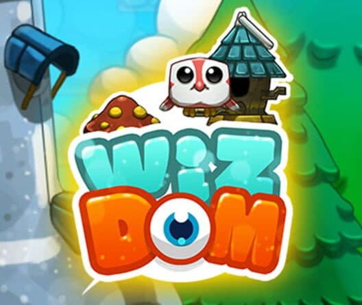 Wizdom cover