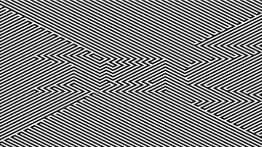 Zebra cover