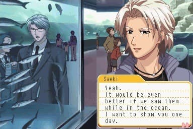 Tokimeki Memorial Girl's Side: 2nd Kiss artwork