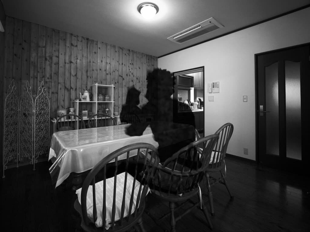 The Dark Room artwork