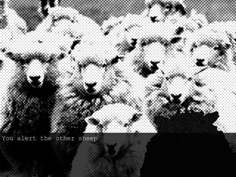 Ewe of the Falklands artwork