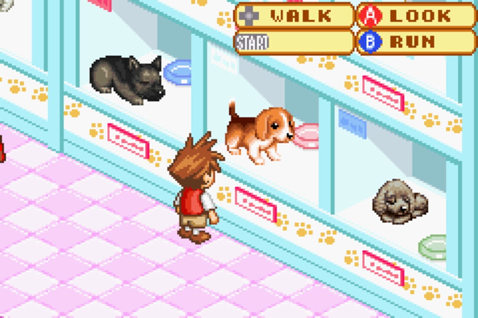Dogz 2 artwork