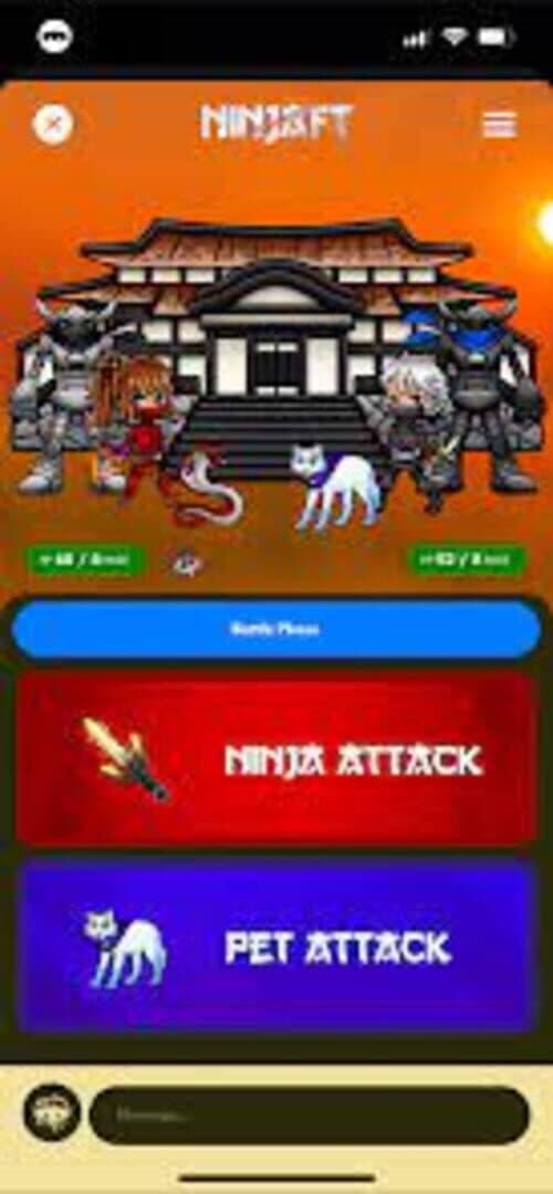 NinjaFT artwork