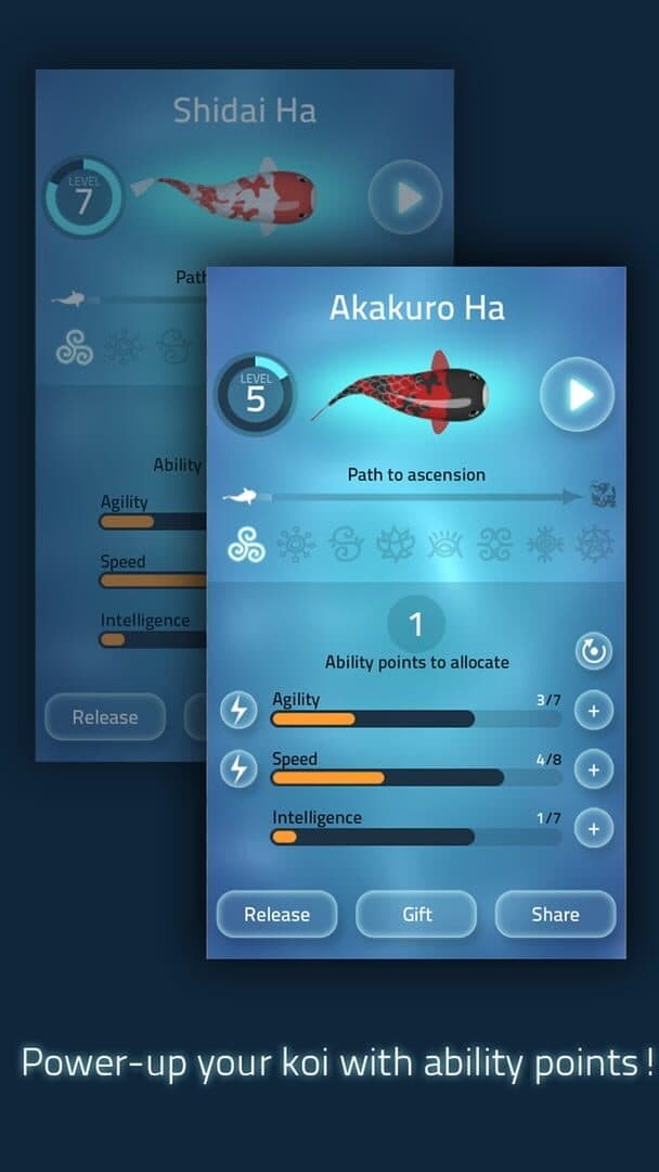 Zen Koi artwork