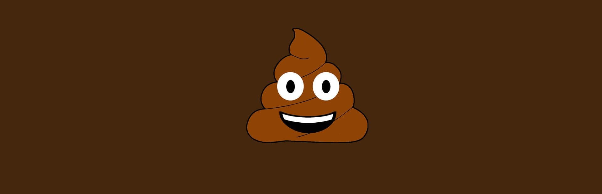 Poop artwork