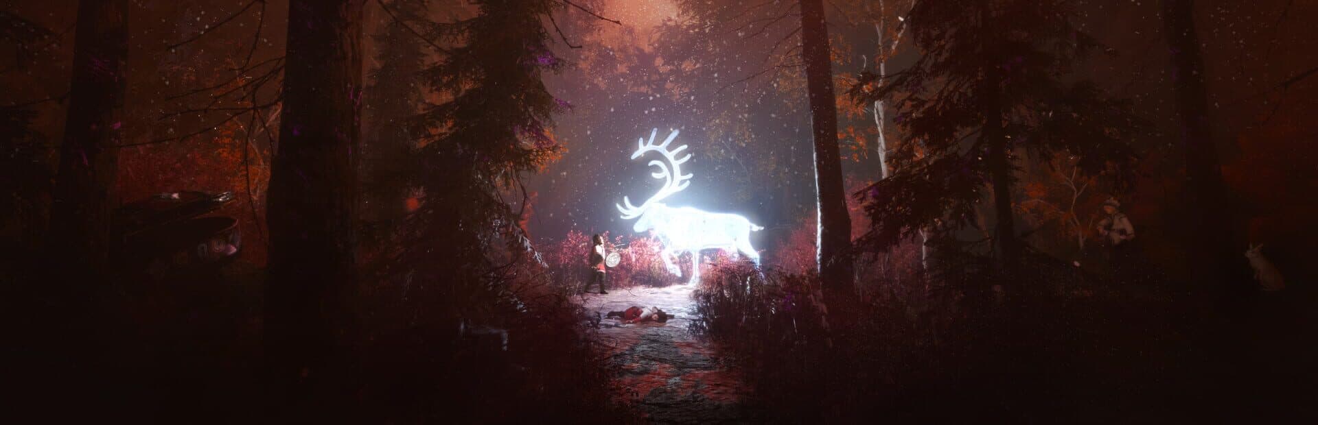 Skábma: Snowfall artwork