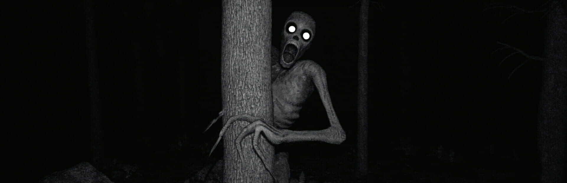 The Rake Sees You artwork