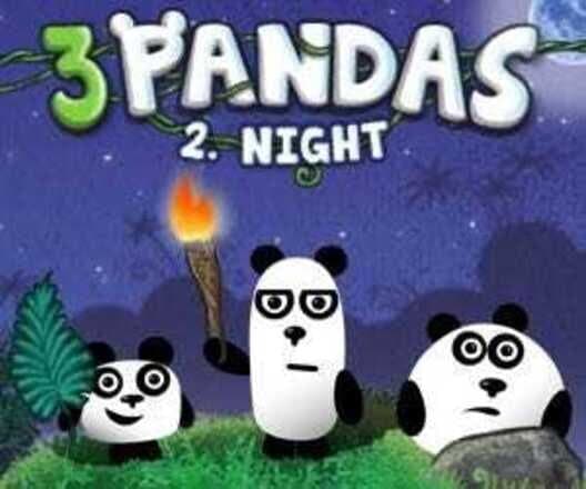 3 Pandas 2 Night cover