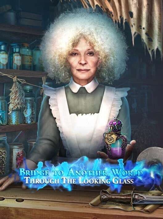 Bridge to Another World: Through the Looking Glass cover