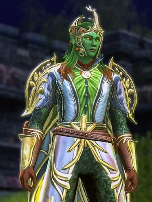 Dungeons & Dragons Online: Premium Archetype - Wild Mage cover
