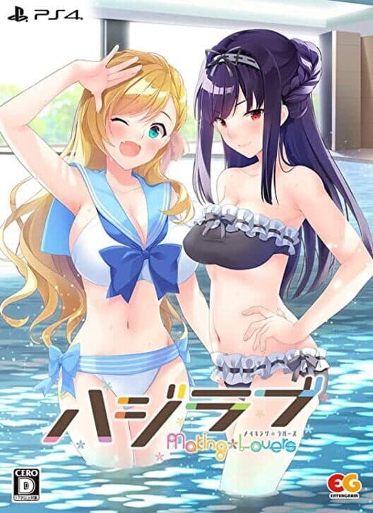 HajiLove: Making Lovers - Limited Edition cover