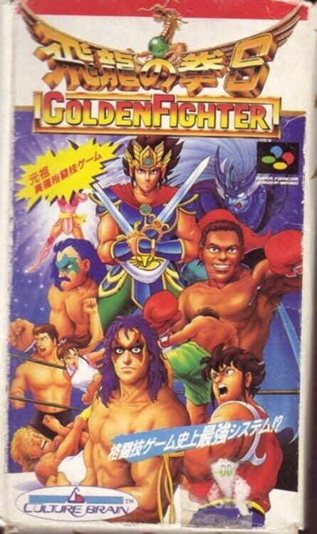 Hiryuu no Ken S: Golden Fighter cover
