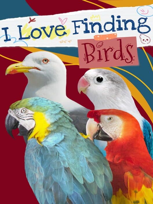 I Love Finding Birds cover