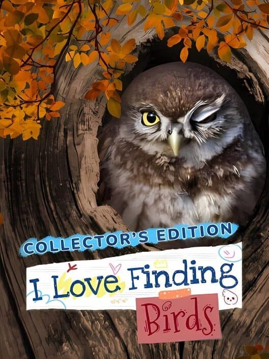 I Love Finding Birds: Collector's Edition cover