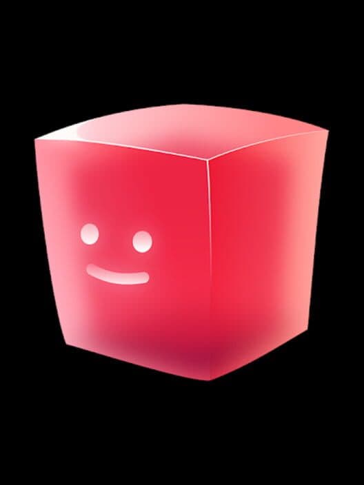 Puzzle of Jellies cover