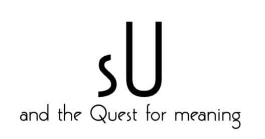 Su and the Quest for meaning cover