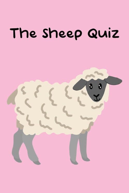 The Sheep Quiz cover