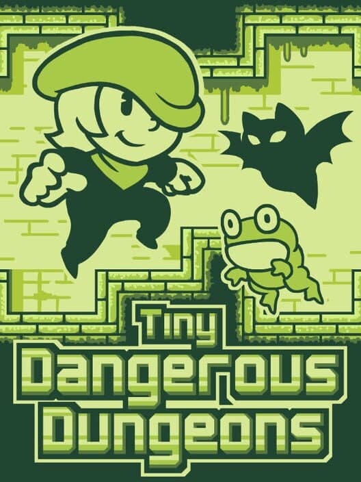 Tiny Dangerous Dungeons cover