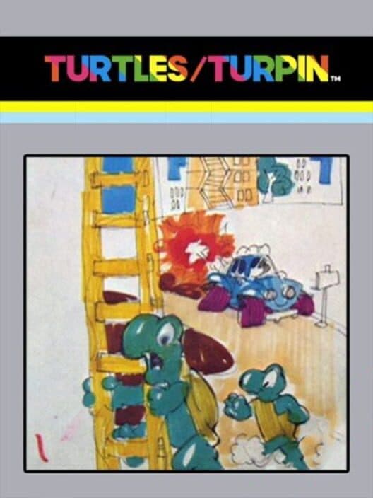 Turtles cover